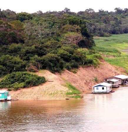 Amazonas
