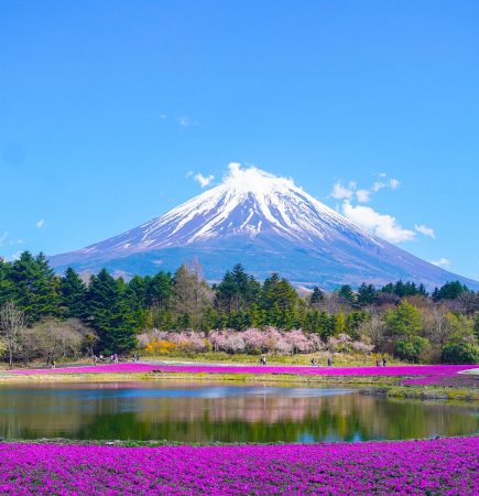 japan fuji Japan Fuji