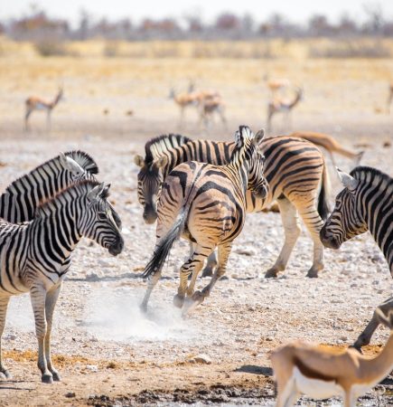 namibia namibia